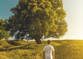 Man walking towards tree under sunny sky in Cluj-Napoca's lush landscape.